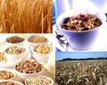 разтворими фибри, овесени ядки, ечемик