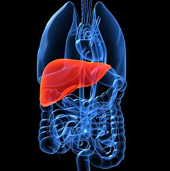 liver_disease_250x251