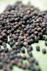 blackpepper