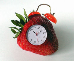 strawberryalarmclock16894