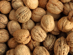 walnuts