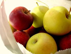 apples_1