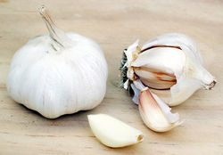 1279689571garlic1