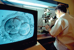 in_vitro_fertilization