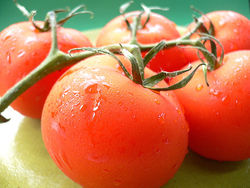 tomatoesgettingpregnant