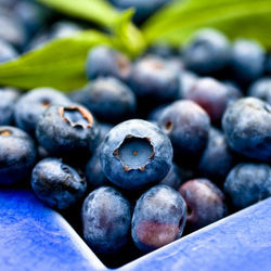 blueberryintro400x400